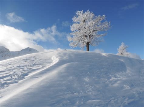 paesaggio con la neve